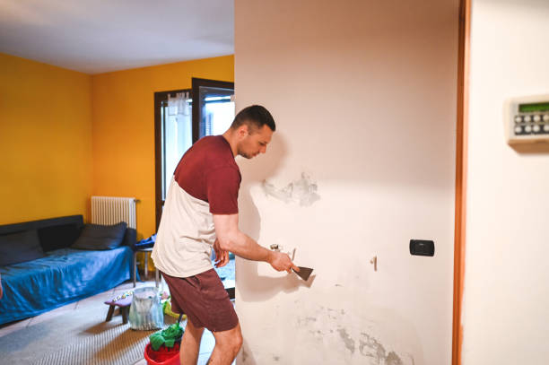 Best Health and Safety Mold Remediation in Glenvar Heights, FL